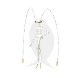 Pheromosa